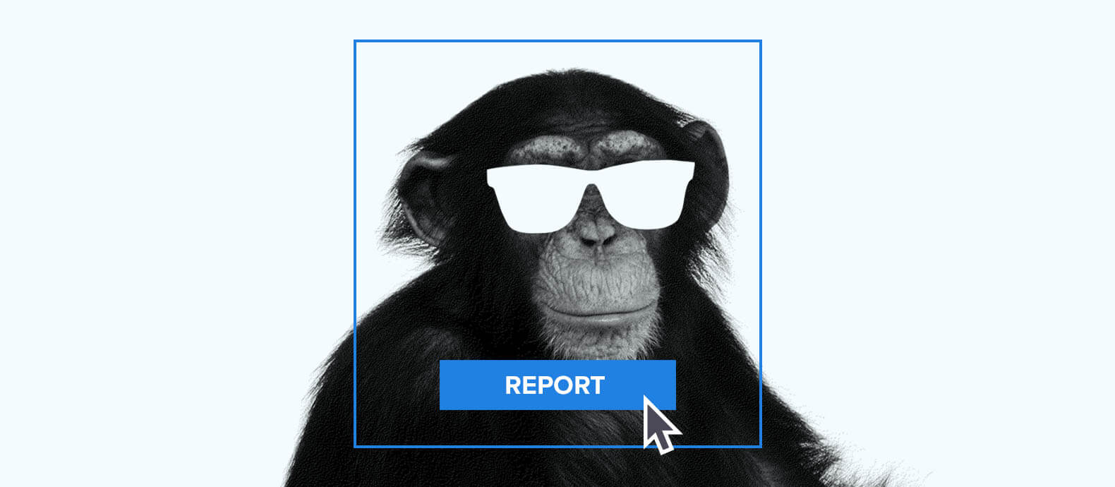 How to report a fake or stolen NFT on OpenSea